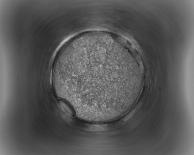 X0000085241224200703301740