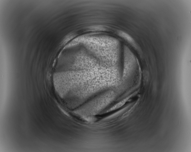 X0000085241225200703301740