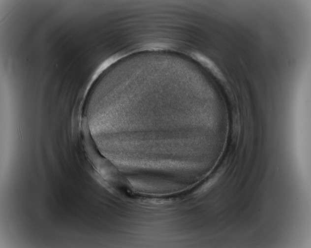 X0000085241226200703301740