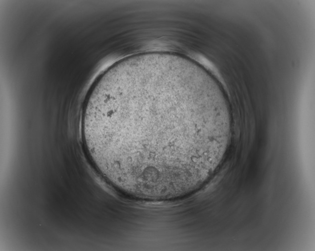 X0000085241227200703301740