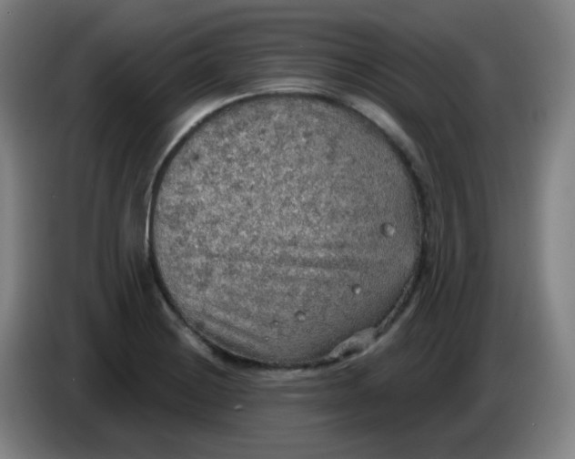 X0000085241228200703301740