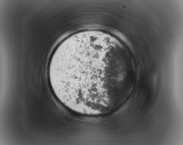 X0000085241229200703301740