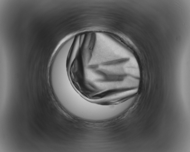 X0000085241230200703301740