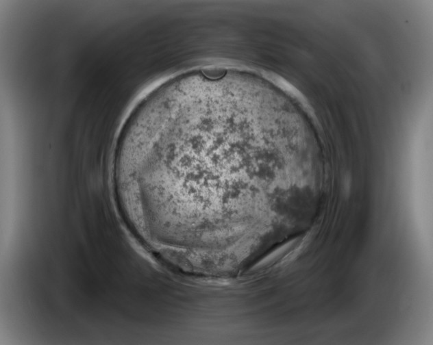 X0000085241231200703301740