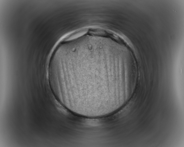 X0000085241232200703301740