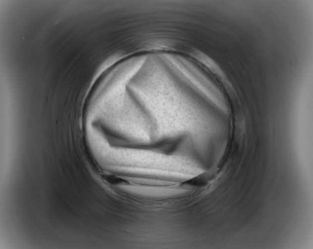 X0000085241234200703301740