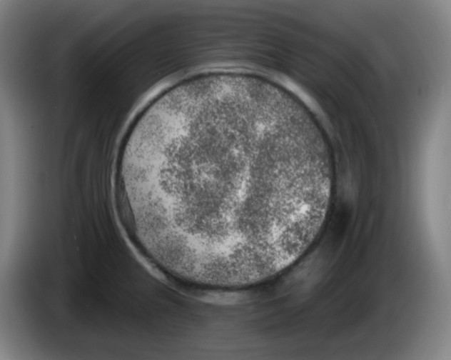 X0000085241237200703301740