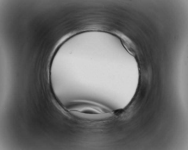 X0000085241238200703301740
