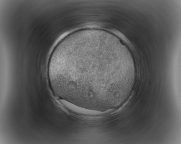 X0000085241240200703301740