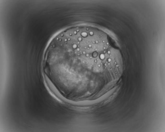 X0000085241247200703301741