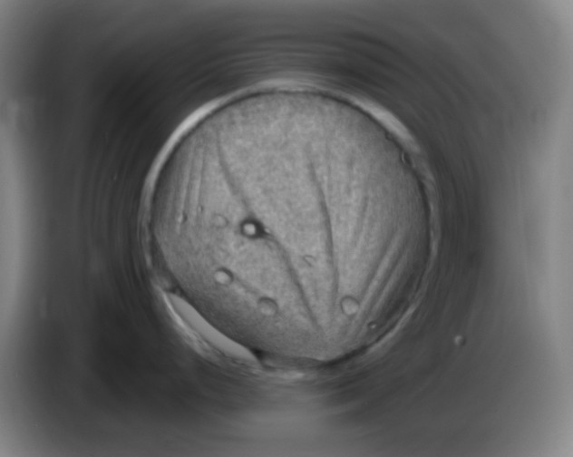 X0000085241248200703301741