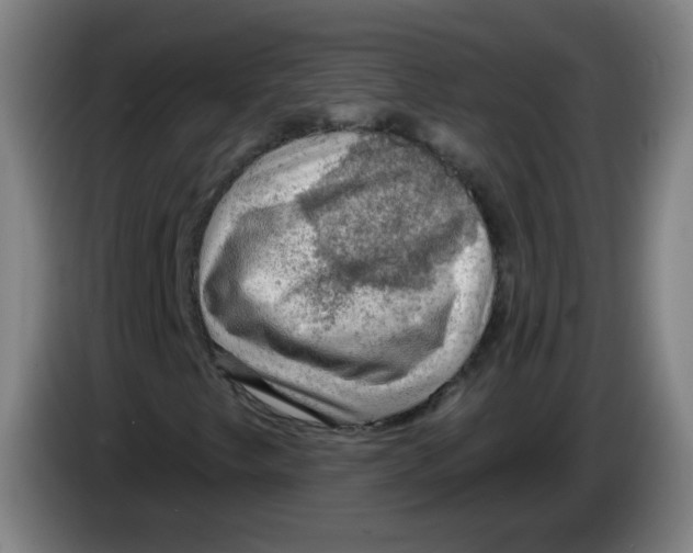 X0000085241249200703301740
