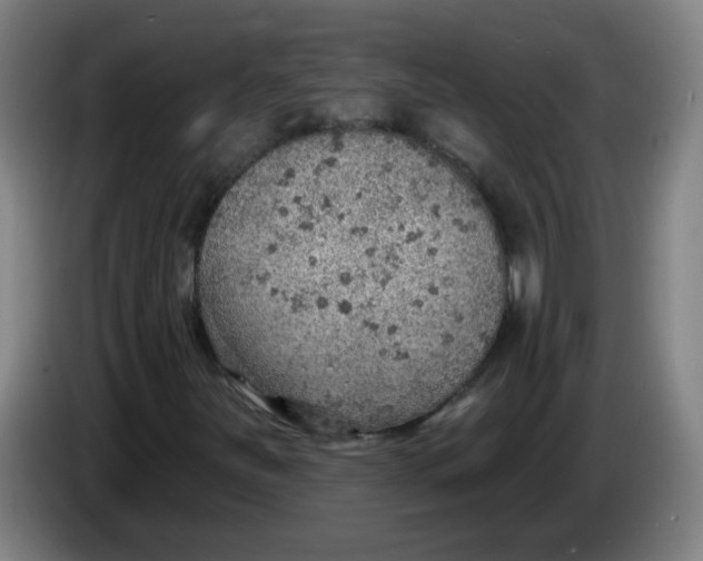 X0000085241251200703301740