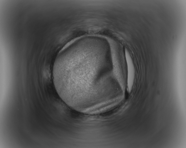 X0000085241252200703301740