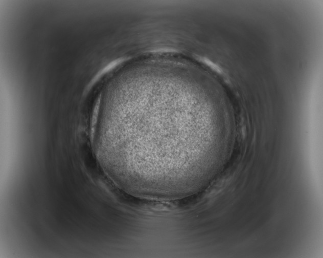 X0000085241255200703301740