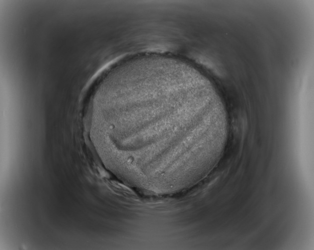 X0000085241256200703301740
