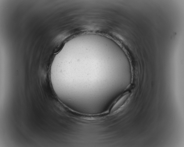 X0000085241257200703301740