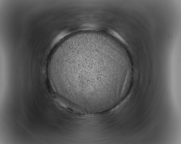 X0000085241259200703301740