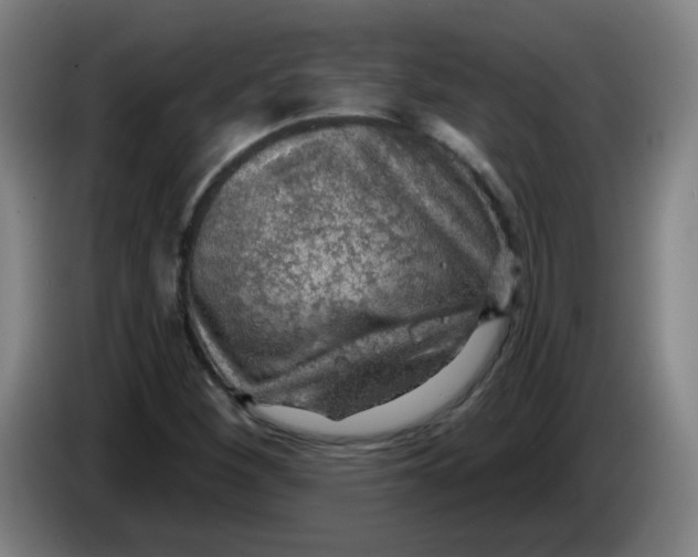 X0000085241260200703301740