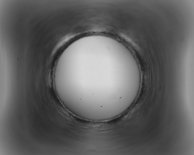 X0000085241262200703301740