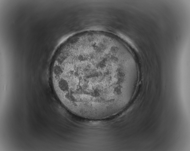 X0000085241264200703301740