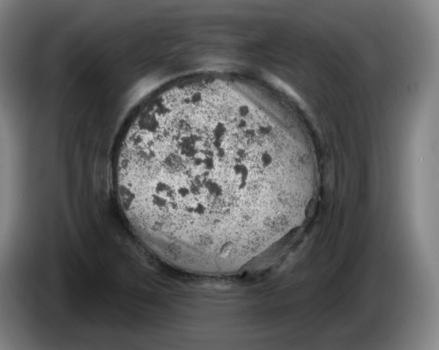 X0000085241267200703301740