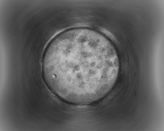 X0000085241268200703301740