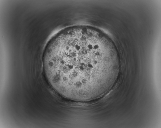 X0000085241271200703301740