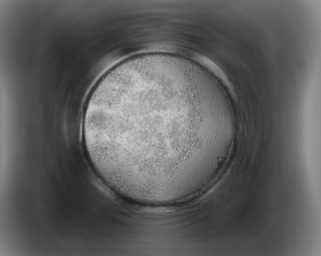 X0000085241276200703301739