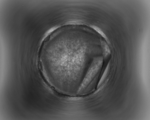X0000085241277200703301739