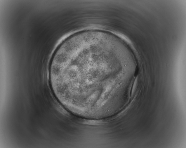 X0000085241280200703301739