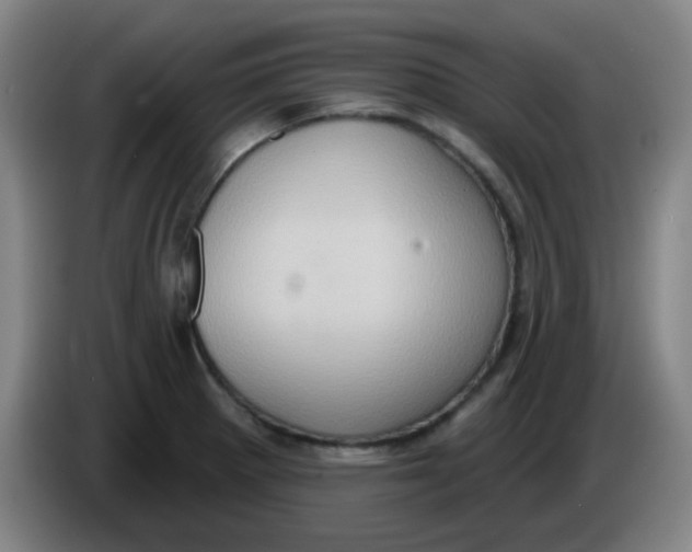 X0000085241281200703301739