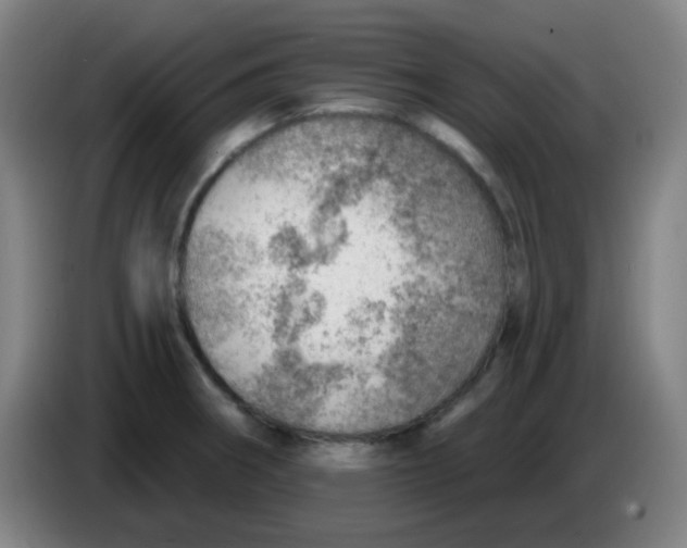 X0000085241282200703301739