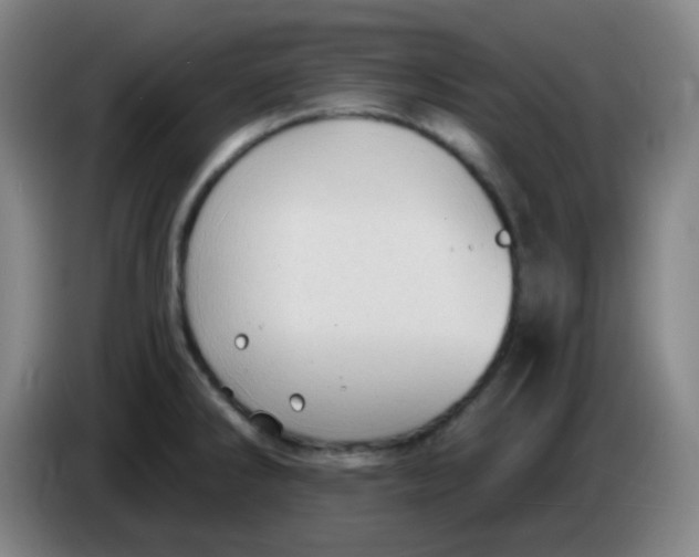 X0000085241286200703301739