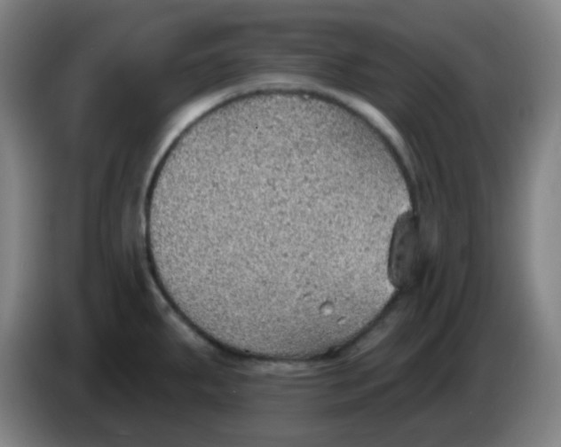 X0000085241287200703301739