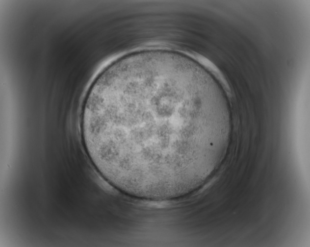 X0000085241288200703301739