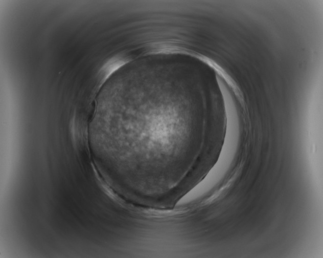 X0000085241289200703301739