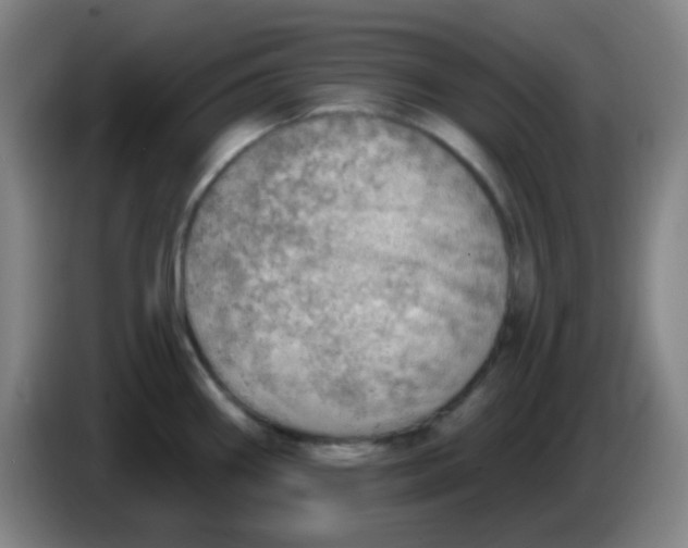 X0000085241290200703301739