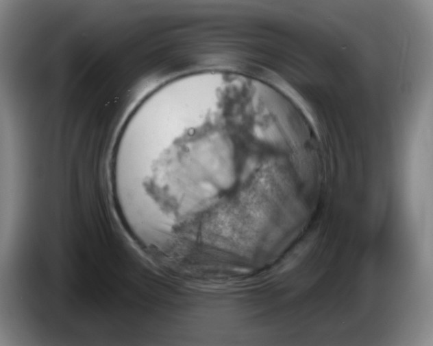 X0000085241291200703301739