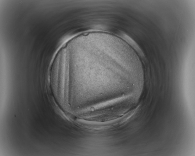 X0000085241292200703301739