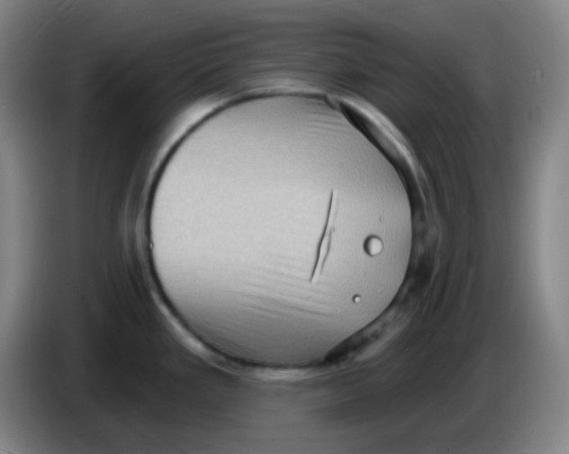 X0000085241293200703301739