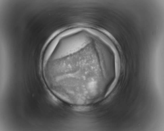 X0000085241294200703301739