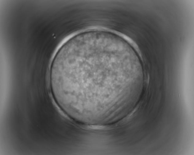 X0000085241295200703301739