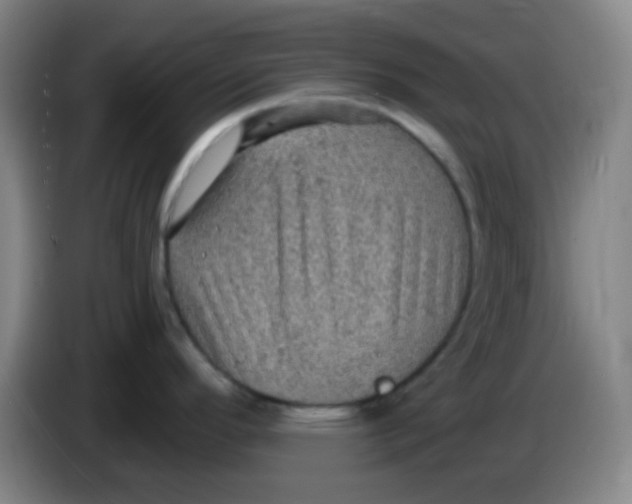 X0000085241296200703301739