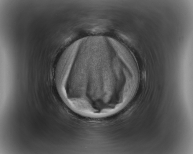 X0000085241300200703301739