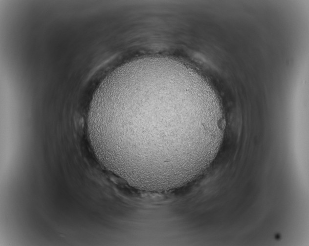 X0000085241302200703301739