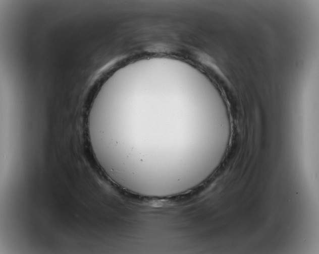 X0000085241304200703301739