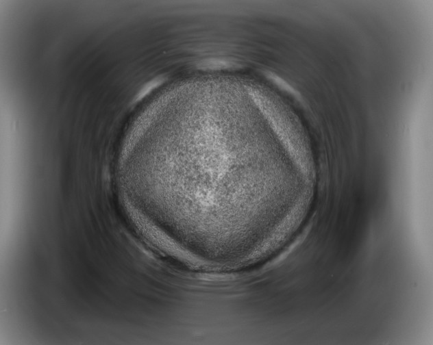 X0000085241305200703301739