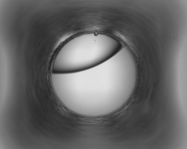 X0000085241308200703301739