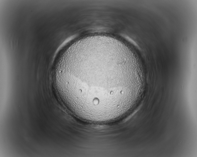 X0000085241309200703301739